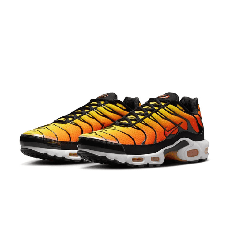 Air Max TN Plus Sunset