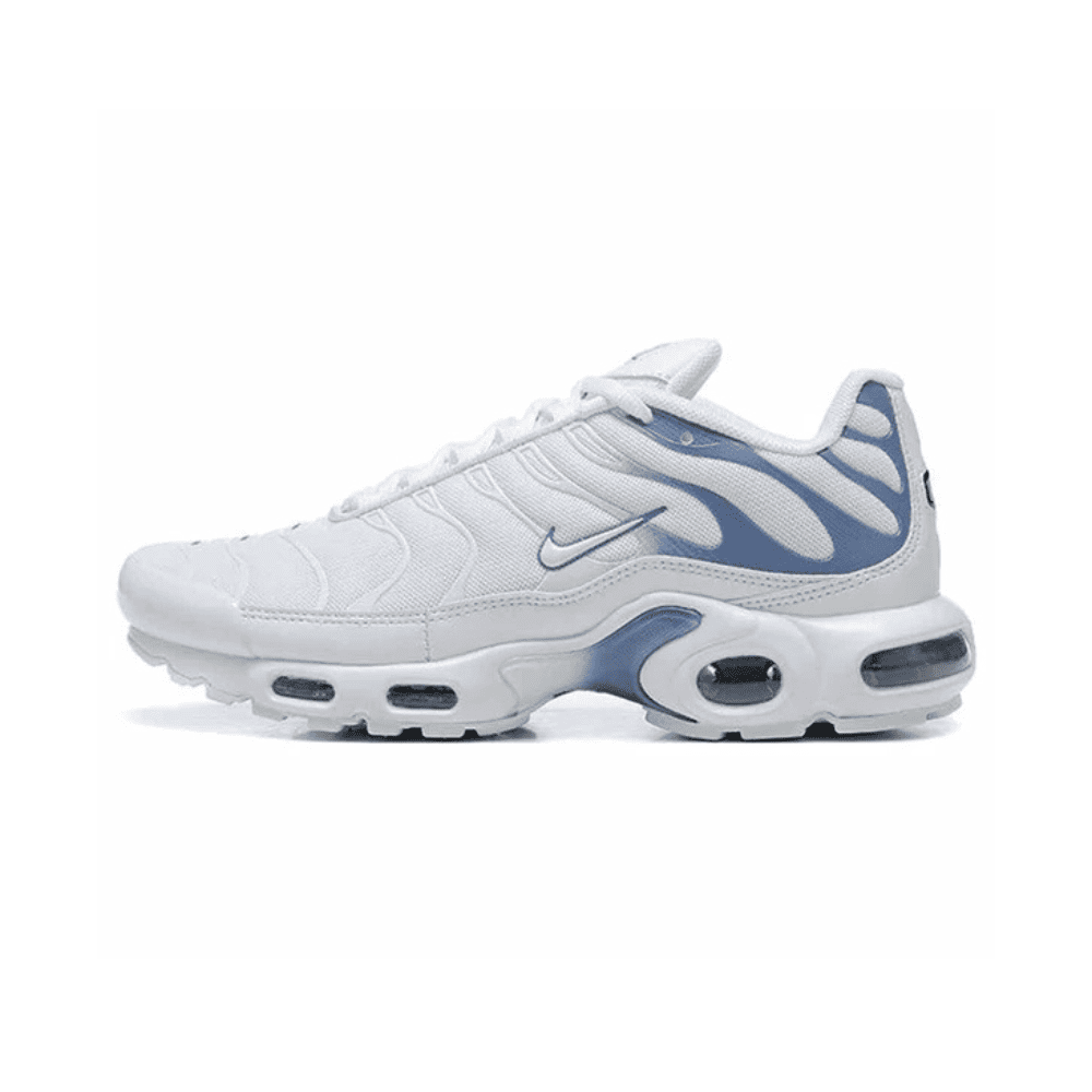 Air Max TN Plus Ashen Slate